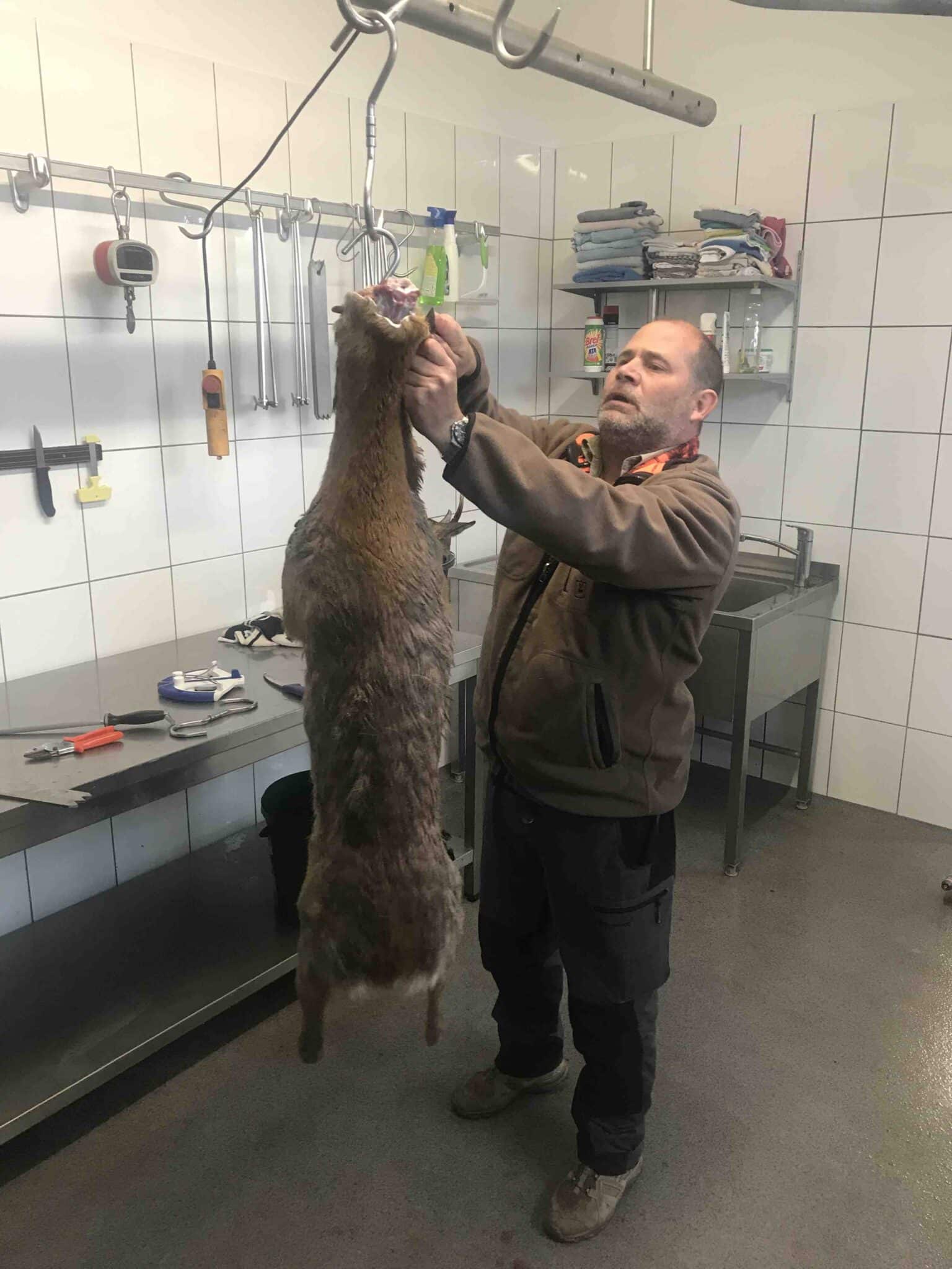 Bock zerwirken