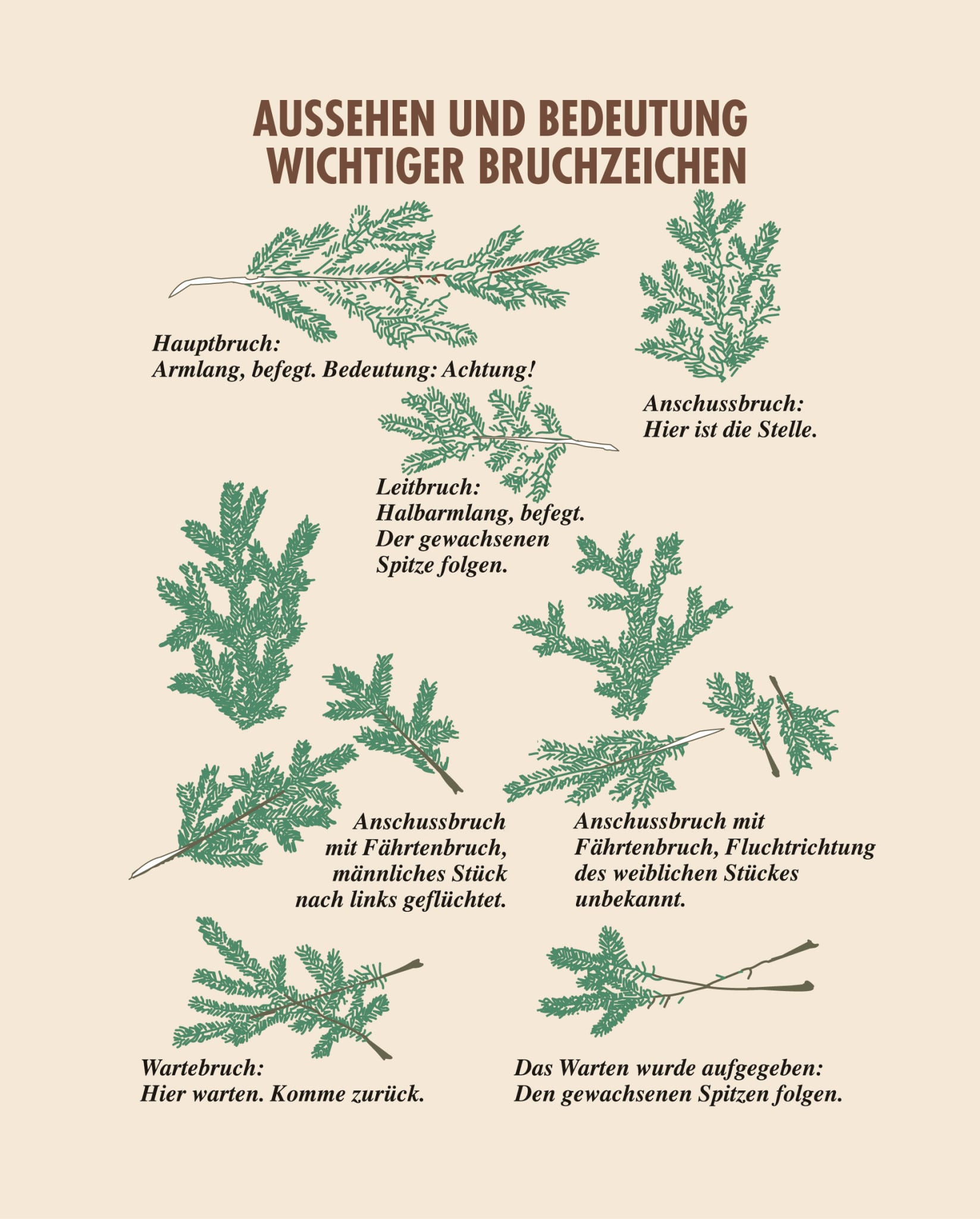 Bruchzeichen Übersicht