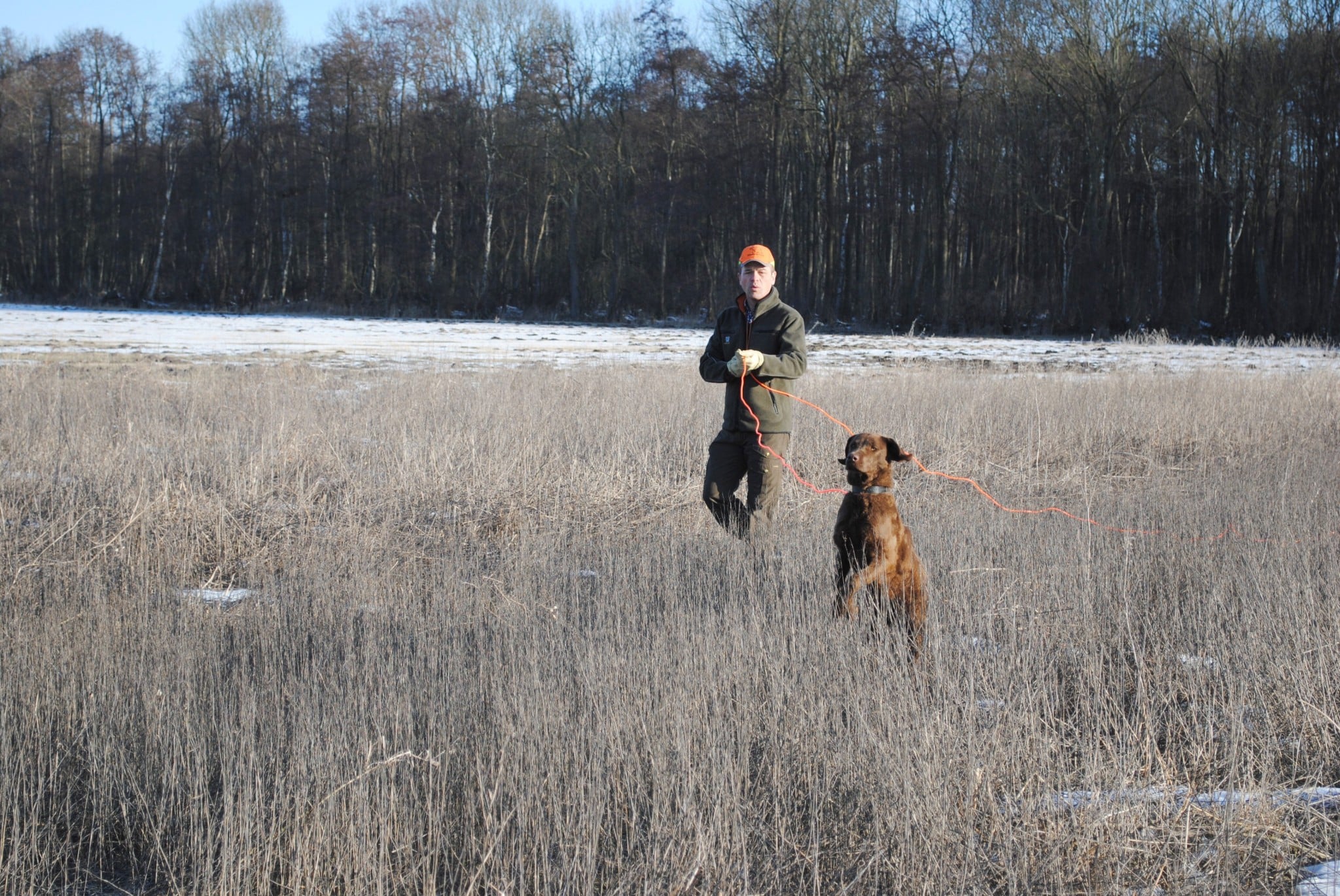 Hundeausbildung mit dem Retriever