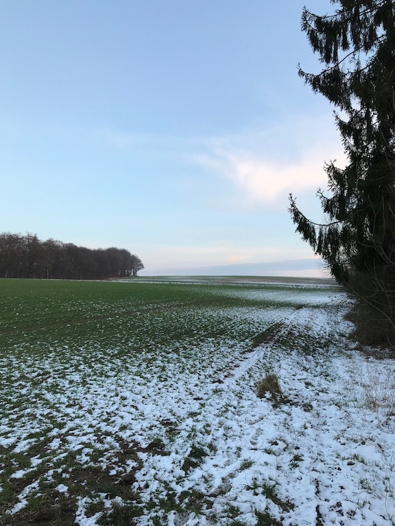 Restschnee
