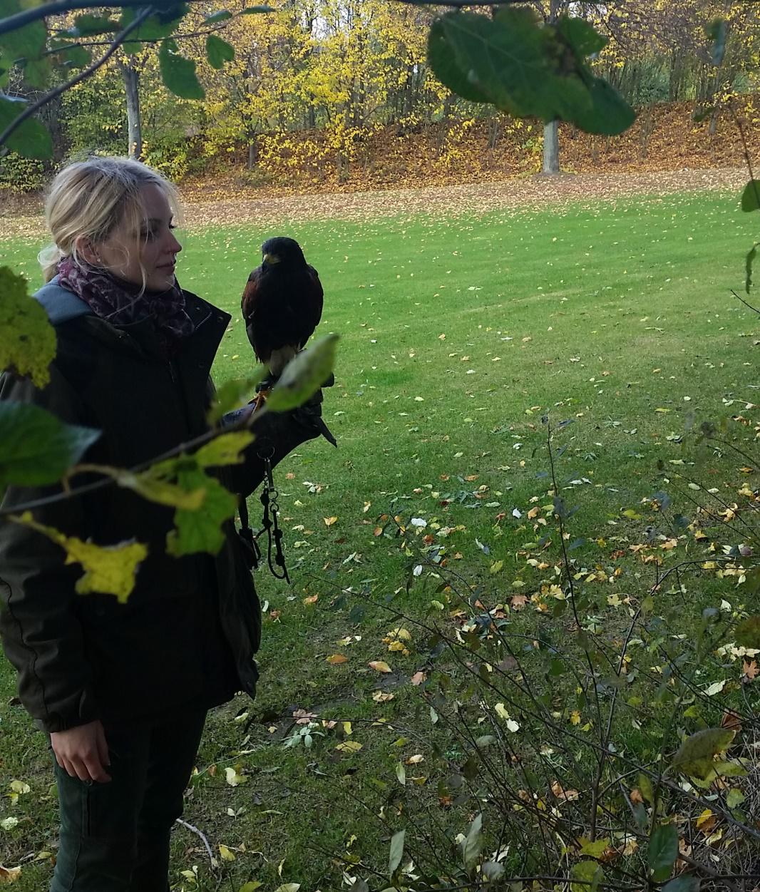 Sandra Jung Vogelgrippe